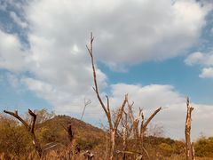 -西湖风景区-江洋畈生态公园