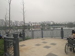 -九里河湿地公园