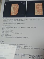 -武汉都市妇产医院