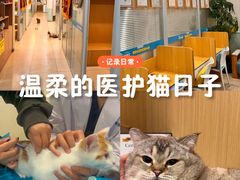 -美迦爱-牙专科·兔科·骨科诊疗中心(北苑店)