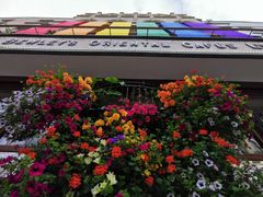 -Bewley’s Oriental Cafe’s Ltd(Grafton Street)