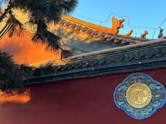 -青城公园