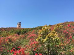 -瑞安圣井山景区