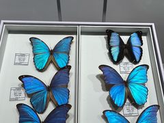 -烟台市博物馆
