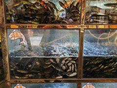 -三道苗苗鱼·美蛙黄辣丁(八里店)