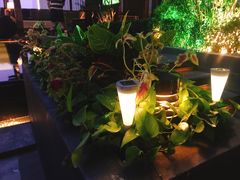 -四季酒店·空中花园 Aria on 9