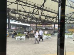 -移动谜城·大笨象密室逃脱(五棵松店)