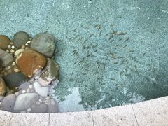 -罗浮山嘉宝田森林温泉度假酒店