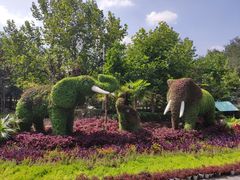 -石家庄市动物园