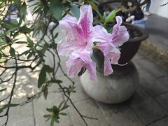 -沧浪亭