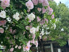 -龙潭水乡