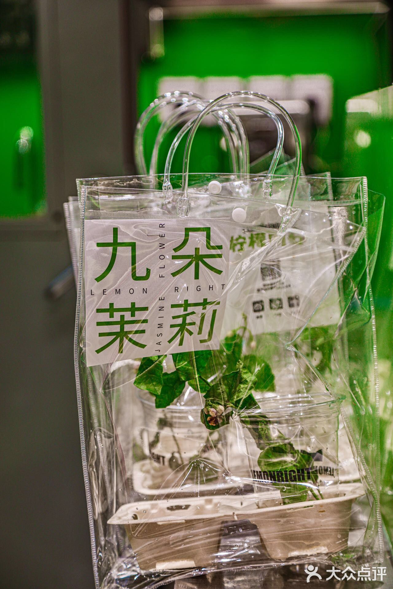买茉莉茶还送茉莉花？