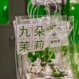 买茉莉茶还送茉莉花？