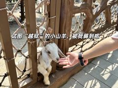 -佛冈森波拉度假区