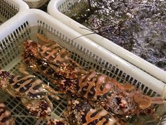 -阿伟海鲜楼·福建菜(延寿店)