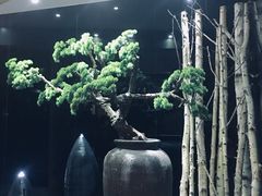 -纽斯桑拿会所(天山店)