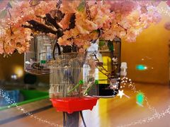 -汤泉良子(金源店)