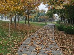 -鉴湖国家城市湿地公园