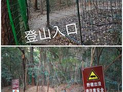 -紫金山山顶公园
