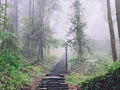 -莫干山风景区