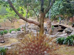 -泉州海丝野生动物世界