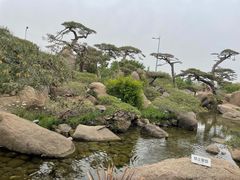 -罗红摄影艺术馆