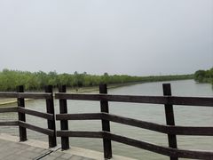 -西青郊野公园