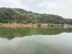 -致友月子会所旗舰店