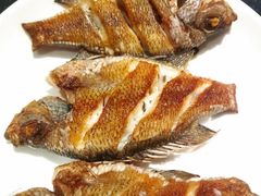 -天鹅到家·保姆月嫂育儿嫂(天河店)