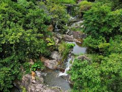 -东莞市大岭山森林公园
