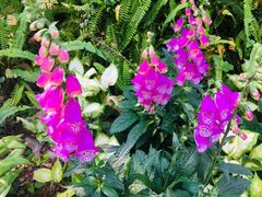 -人民公园(罗湖区)