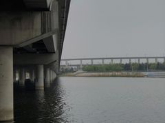 -绿堤公园