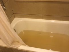 -长沙小天鹅戴斯酒店