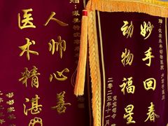 -派美特宠物医院·核磁CT·骨科肿瘤·疑难转诊(沈农禾丰店)