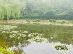 -棒棰岛宾馆景区