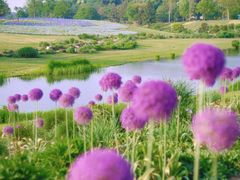 -上海辰山植物园
