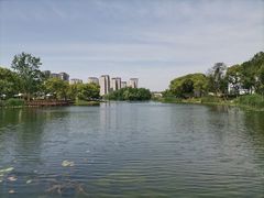 -新江湾城公园
