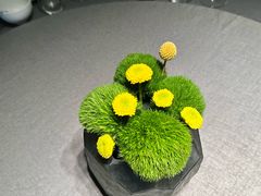 -南堂馆·新川菜(春熙路店)