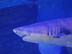 -横店影视城梦幻谷园区