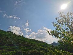 -张关合渣(航空大道店)