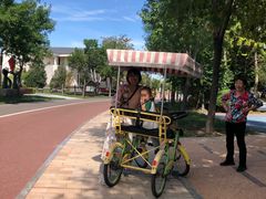 -武清南湖绿博园