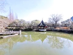 -上海醉白池公园