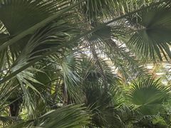 -石家庄市植物园
