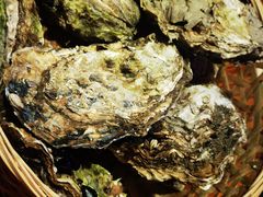-蚝堡海鲜·威海菜·海肠捞饭·烧烤·亚洲吃蚝公司(幸福门店)