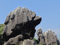 -玉石林风景区