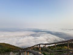 -梧桐山风景名胜区