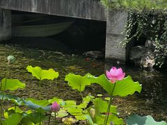 -东山雕花楼