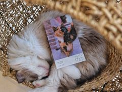 -飞行喵MR PILOT|猫舍·猫咖(静安大融城店)