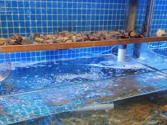 -鲁商铂尔曼大酒店·铂丽自助餐厅