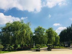 -吉林大学(前卫南区)
